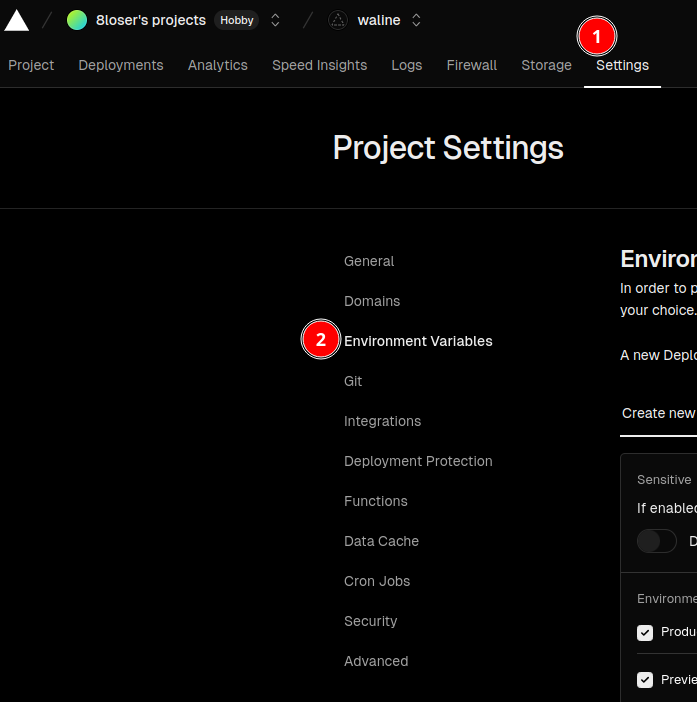 Setting environment variable
